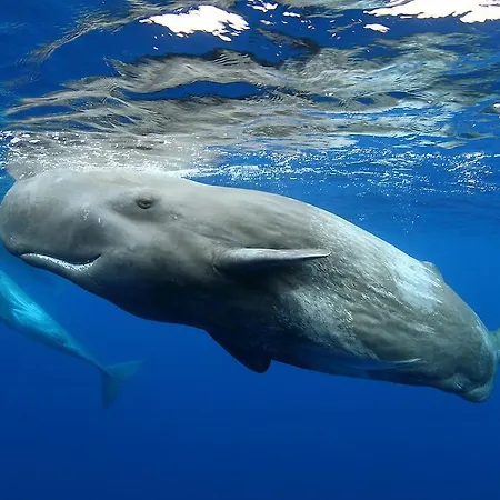 Casa de Férias Val's Place *