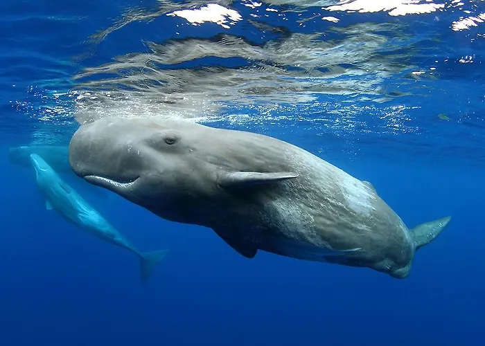 Ferienhaus Val's Place *